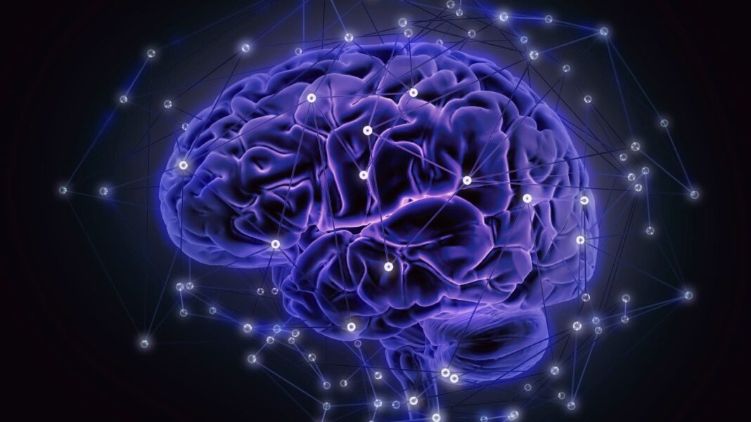 neurociencia
