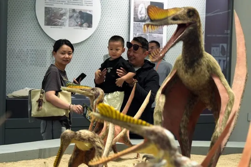 ¡Un nido gigante en el desierto! China abre el primer museo de pterosaurios del mundo