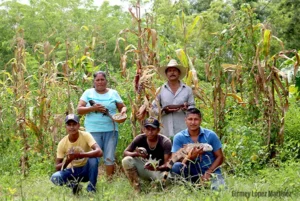 Milpa Familia