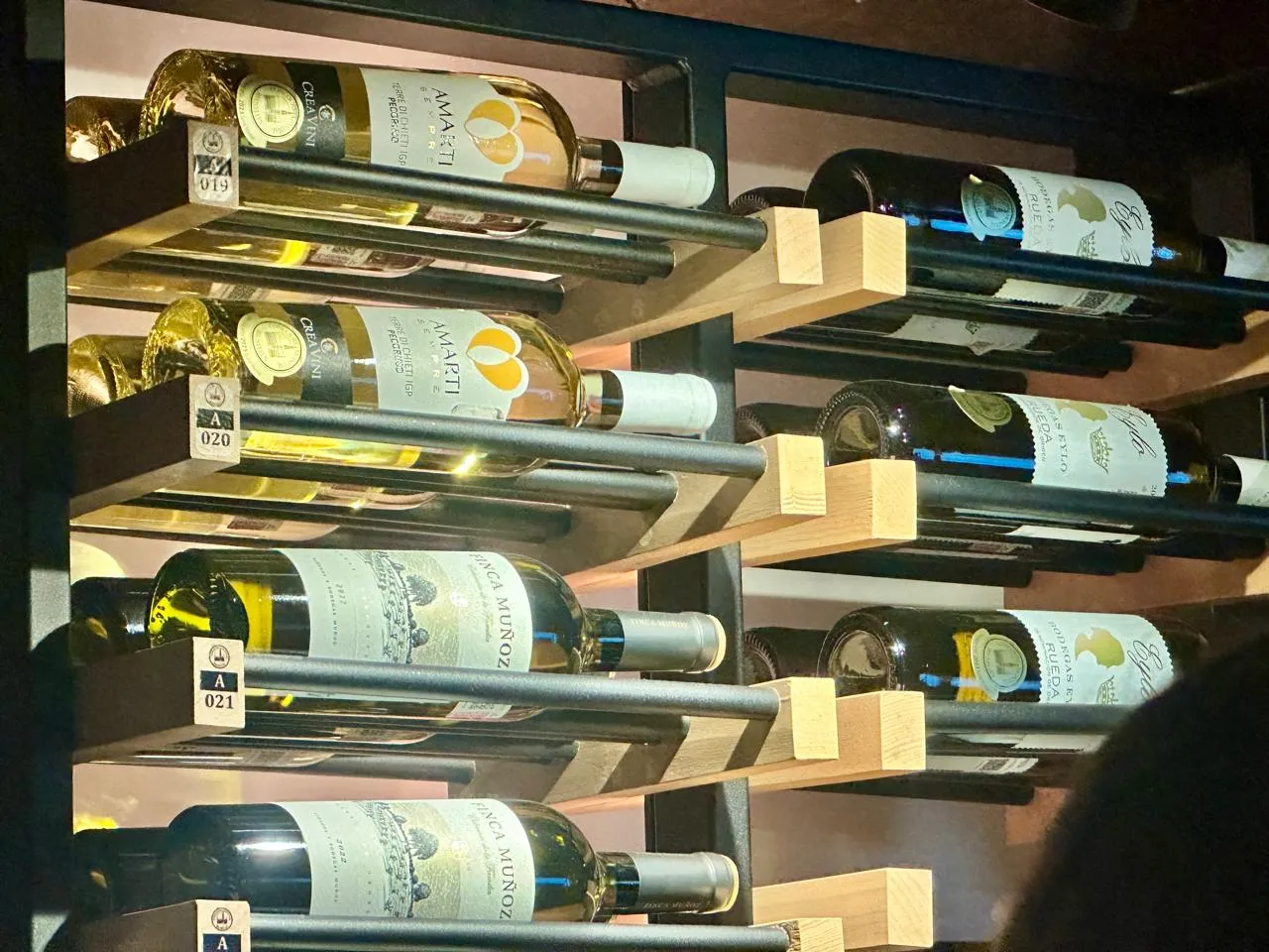 El vino mexicano se prepara para celebrar su día con sabor, cultura y nuevas experiencias