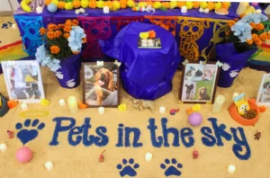 Día de Muertos y cómo recordar a las mascotas que dejaron huella en nuestra vida